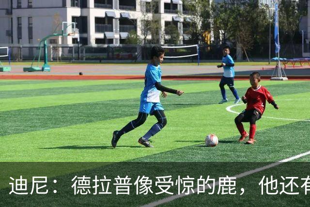 迪尼：德拉普像受惊的鹿，他还有很多工作要做
